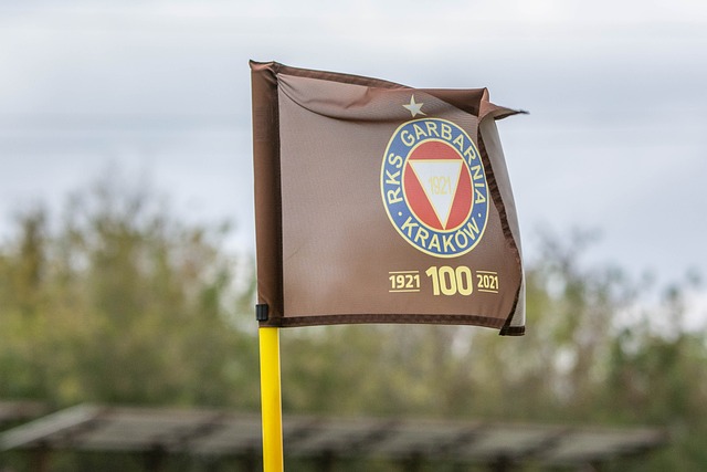 年轻的潜力 年轻的潜力