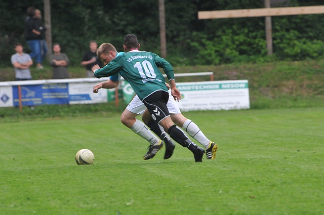 是通过这两 是通过这两