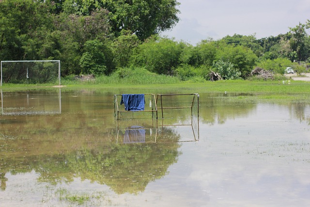洲顶级赛场 洲顶级赛场