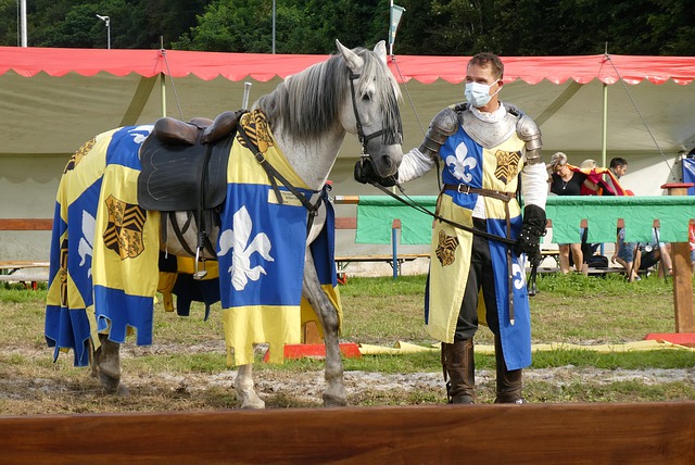 在团队里 在团队里