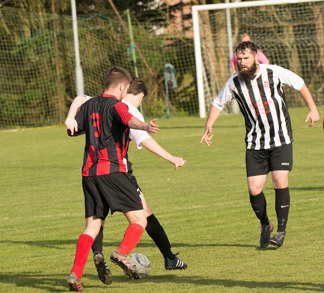 力的较量 力的较量