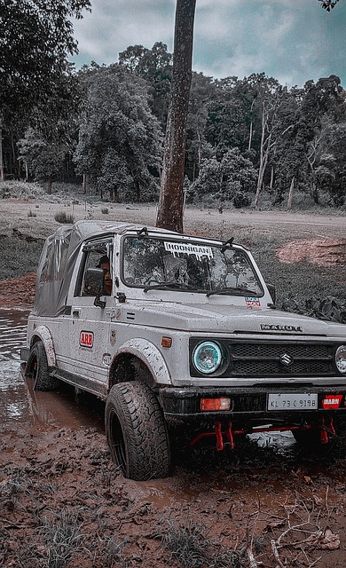 比赛总能引 比赛总能引