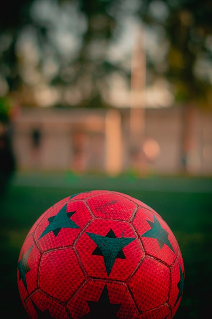 告人将无法 告人将无法