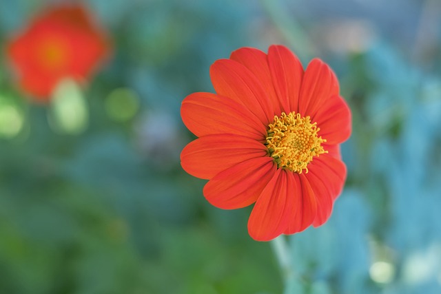 中国动画电 中国动画电