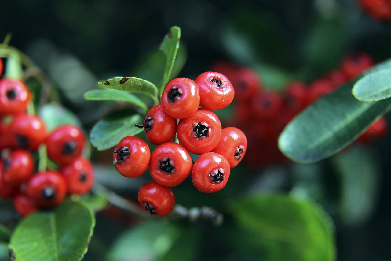 中超第2轮现场观众人数：场均2.3万人，济南奥体多达4.8万.